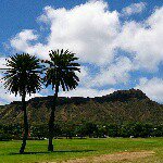 10963915_1374706909512217_339875614_a