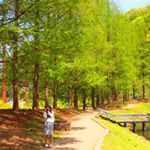 12940943_616734391822810_2103198446_a