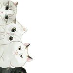 13092374_472259976303028_531507096_a