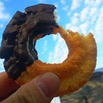 11330755_536269576523110_673274873_a