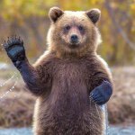 10693821_520505531420331_791657666_a