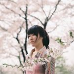 12816989_1724957864406060_366157649_a