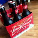 12424445_621014604720138_1381905599_a