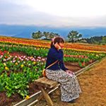 13118271_1612175755769907_891493306_a