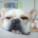 10431988_597292917077104_442158926_a