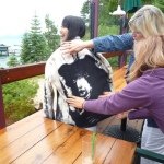 10483369_851653724862716_1352456410_a