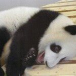 11373960_1645004469104155_1947095574_a