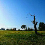 10735079_356084494560927_1113760613_a