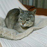 11191534_1620991451448269_1542737321_a