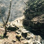 10956793_807020982728084_563749797_a