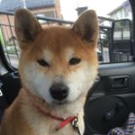 12935065_563532000473221_1048884260_a