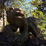 13113812_107206863024820_1300768576_a