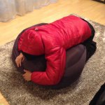 10919572_1627910624103809_1038941800_a