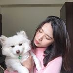 12976178_465459310328017_594170841_a