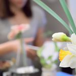 13102450_1723722301245973_363991830_a