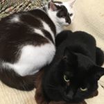 12751579_182186072156697_2144683835_a