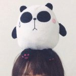 10684259_1528940270676011_2054289682_a