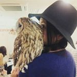 12918382_217777891945793_684923677_a