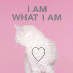 10576212_723058091062853_1683286096_a