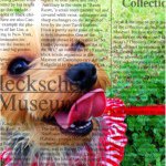 11142181_1636797139873987_537814176_a