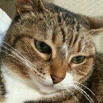 10358238_1436967256562400_1702287711_a