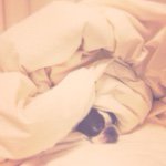 11208599_1623833687831866_1604390327_a