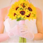 12965146_218074978572208_781798928_a