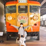 13113878_230347387322779_13525795_a