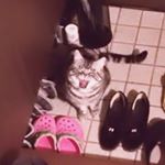 12568883_1654582034759058_402573488_a