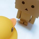 11850316_954790204563150_868878275_a