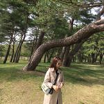 13117796_255962598084102_338905841_a