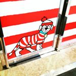 13117948_544328629082908_579960816_a