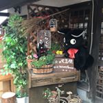 12918055_1028115493935235_285739759_a