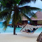 10985990_884791131543292_1134794762_a