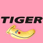 13099040_1690867634513669_2096599849_a