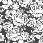 13113927_794931807273965_231315011_a