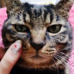 13181286_1140044856027353_454707645_a