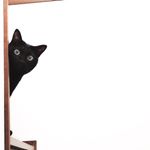 12750357_765155650284023_1777404593_a