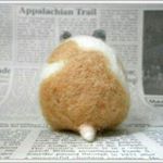 12519229_1723196657923596_79714423_a