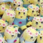 11377888_417795095087051_1406643940_a