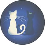 12331957_1223004621048144_597971454_a