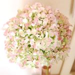 917375_338337519623169_496243704_a