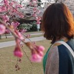 929253_787052521353713_1601390384_a