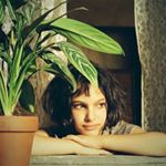 12822528_814373618667398_1579971830_a