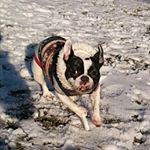 12383303_190996184587506_519046406_a