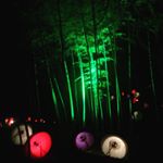 12276848_1264785846880313_850980969_a