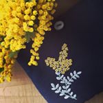 12751016_986343728100668_1028875033_a