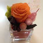 12356327_911714998924454_775823441_a