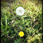 11377590_398484020338190_375392100_a