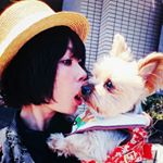 13150894_1792807434275542_1361106708_a